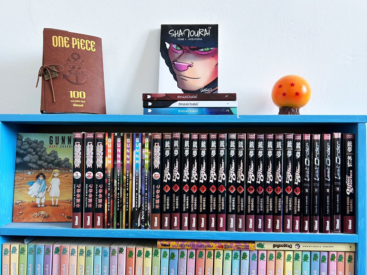 Une photo de ma bibliothèque avec mes mangas qui trônent dessus.